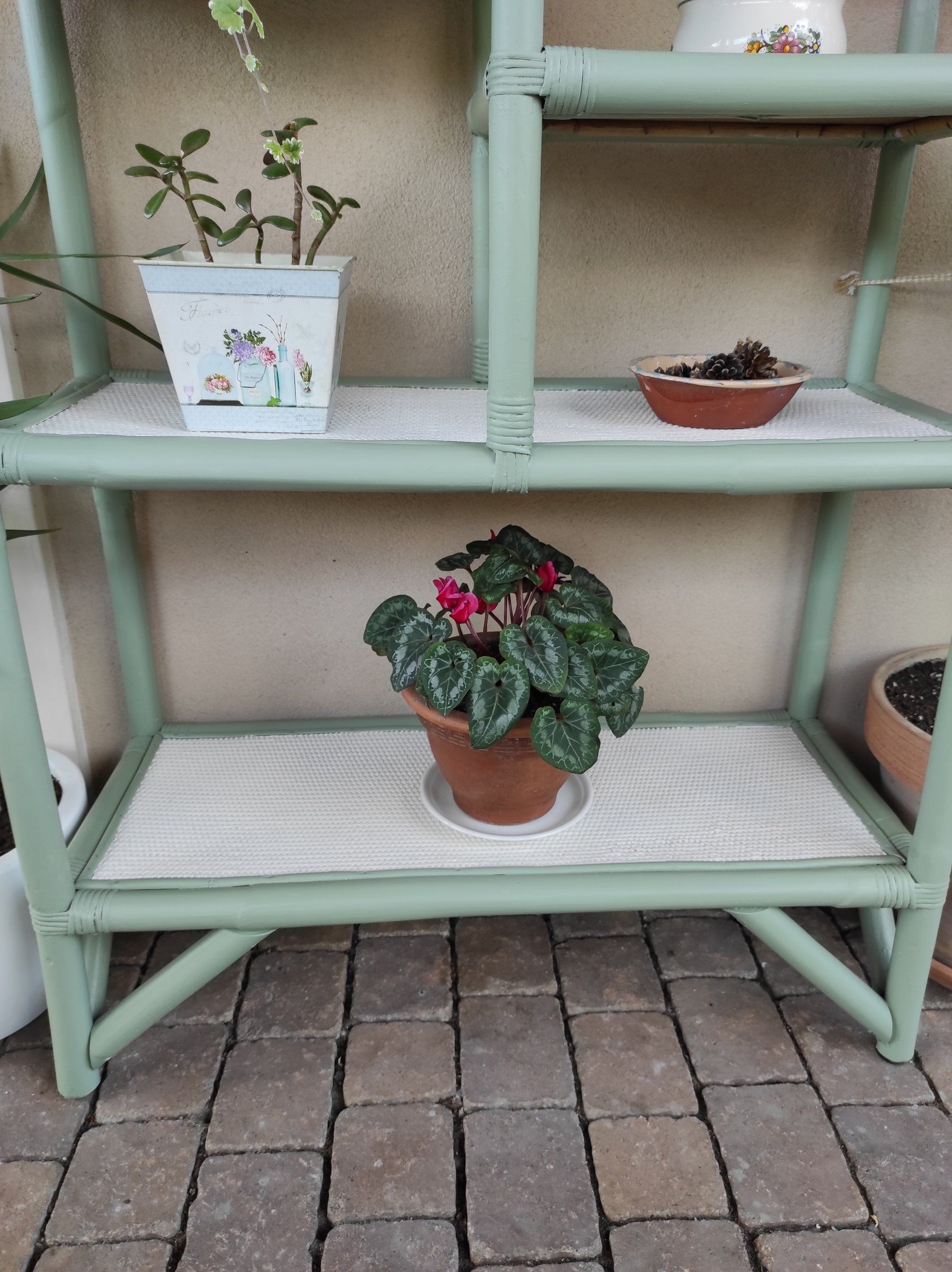 Ripiano basso con un ciclamino e vasetti decorati