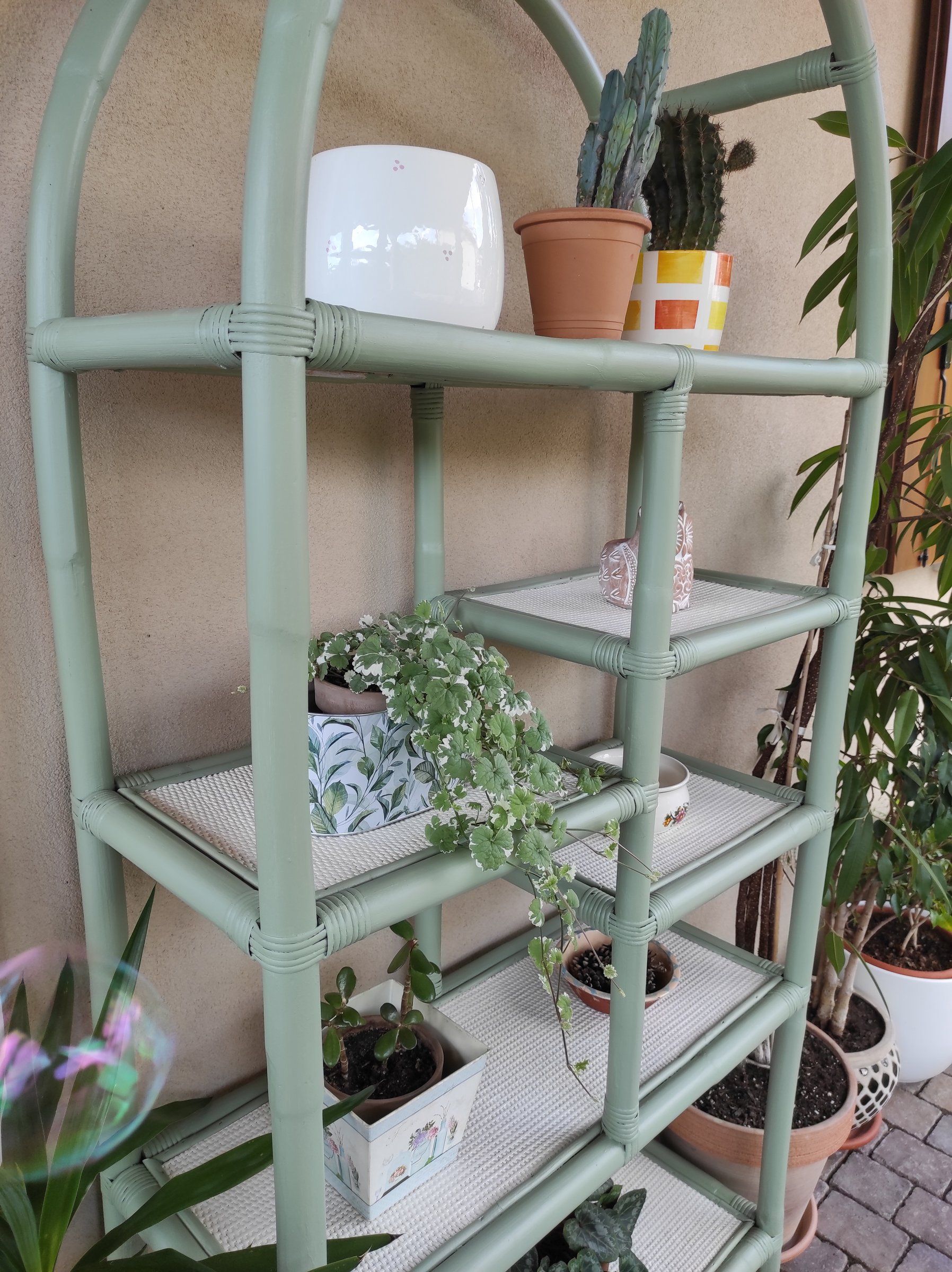Scaffale verde salvia con vasi e piante ricadenti sui ripiani avorio