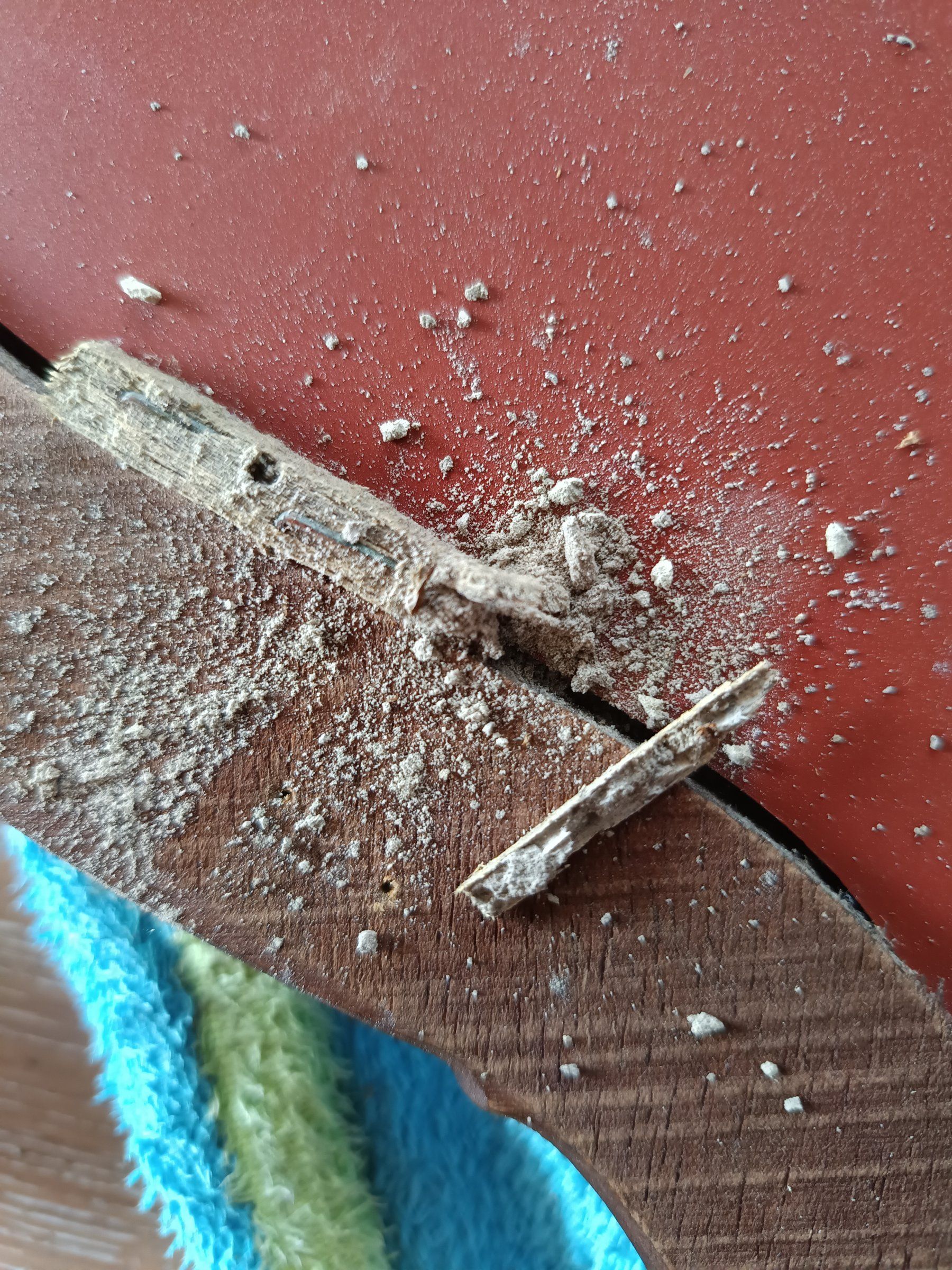 Fase di lavorazione sul retro della cornice